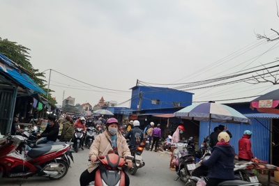 Huyện Thuỷ Nguyên, TP Hải Phòng: “Tận thu” từ chợ tự phát AURORA