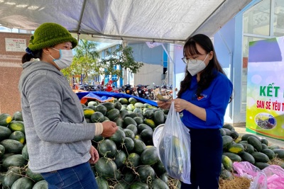 Quảng Ngãi: Áo xanh cùng nông dân vượt khó