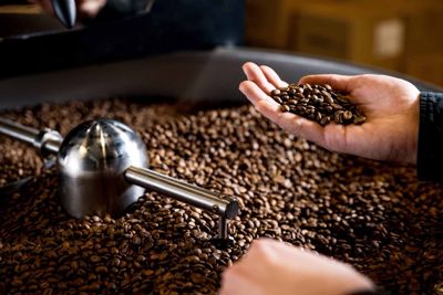 Giá cà phê hôm nay 3/3: Robusta thấp nhất 1 tháng qua, gần mốc 2.000USD/tấn