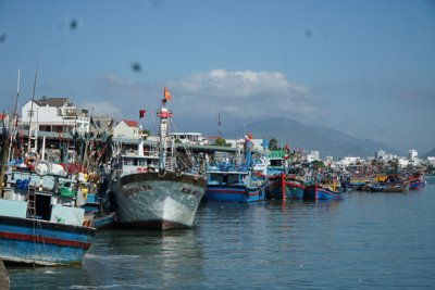 Khánh Hòa: Không kham nổi chi phí xăng dầu, nhiều tàu cá bỏ… biển