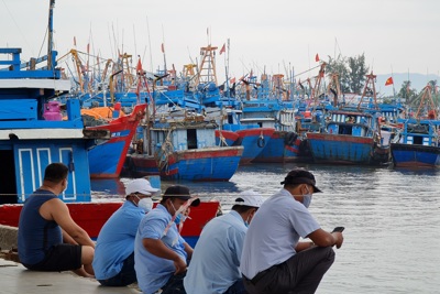 Quảng Ngãi: Dầu tăng giá, tàu nằm bờ