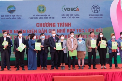 Hà Nội: Doanh nghiệp - hợp tác xã “bắt tay” tiêu thụ nông sản