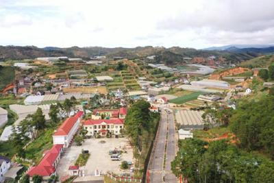 Lâm Đồng đấu thầu 122 lô đất, 44 biệt thự tại thị trấn Lạc Dương