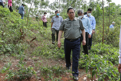 Thủ tướng dự khánh thành nhà máy 250 triệu USD ở Bình Phước