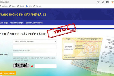 Cảnh báo website giả mạo Giấy phép lái xe