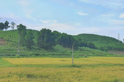 Chính phủ chấp thuận chuyển mục đích sử dụng 83ha đất tại tỉnh Bắc Giang