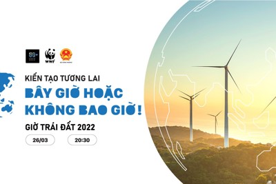 Phát động 3 sự kiện về bảo vệ môi trường năm 2022