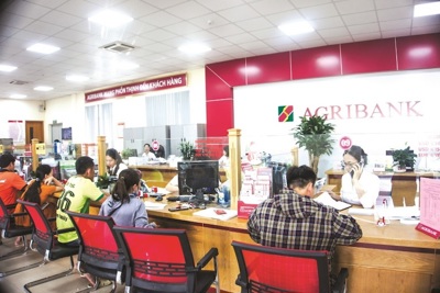 Agribank triển khai Chương trình phục hồi, phát triển kinh tế - xã hội 