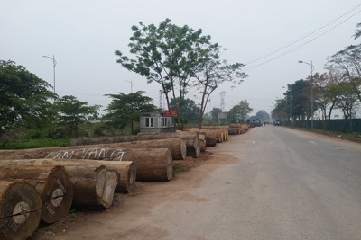 Huyện Đông Anh: Hoàn thiện giải phóng mặt bằng dự án cụm công nghiệp Thiết Bình