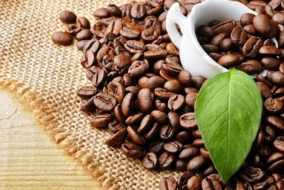 Giá cà phê hôm nay 7/4: Robusta dưới 2.100 USD/tấn, trong nước cao nhất 40.900 đồng/kg