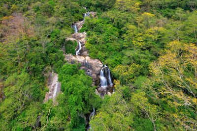 Ninh Thuận: UNESCO công nhận Núi Chúa là Khu dự trữ sinh quyển thế giới