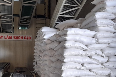 Xuất khẩu gạo tiếp tục tăng trưởng cả lượng và giá trị