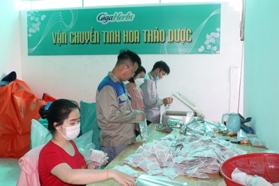 Hà Nội: Ba nhà “bắt tay” phát triển nông sản sạch