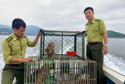 Hà Tĩnh: Tái thả nhiều cá thể động vật hoang dã