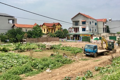 Huyện Mê Linh: Không có vùng cấm trong xử lý vi phạm đất nông nghiệp