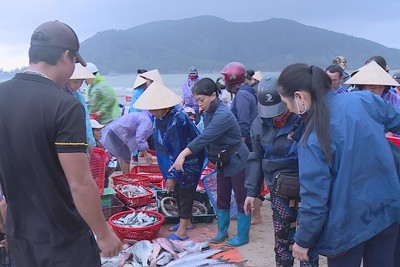 Hà Tĩnh: Ngư dân thu về hàng trăm tỷ đồng từ vụ cá Bắc