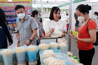 Đưa thực phẩm sạch tới người tiêu dùng Thủ đô Hà Nội