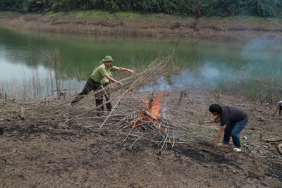 Hà Tĩnh: Thu dọn lòng hồ Ngàn Trươi, giảm thiểu nguy cơ cháy rừng