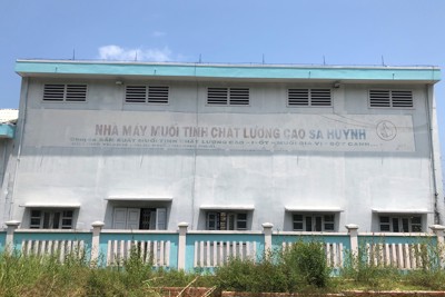 Quảng Ngãi: Thu hồi toàn bộ diện tích nhà máy muối ở Sa Huỳnh