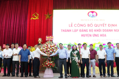 Ra mắt Đảng bộ Khối DN trực thuộc Đảng bộ huyện Ứng Hoà