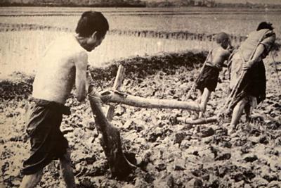 Chính quyền thuộc địa Pháp với nông nghiệp Việt Nam