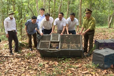 Nhiều động vật hoang dã được thả về rừng Phong Nha - Kẻ Bàng