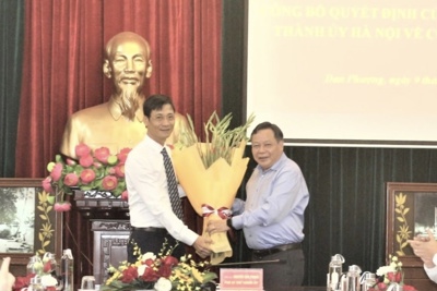 Ông Lê Thanh Nam được điều động làm Phó Bí thư Huyện ủy Đan Phượng