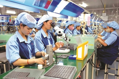 Xu hướng thay đổi cơ cấu nghề ở Việt Nam