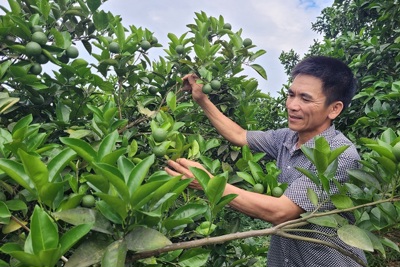 Quang Thọ: Nâng cao chất lượng tiêu chí nông thôn mới
