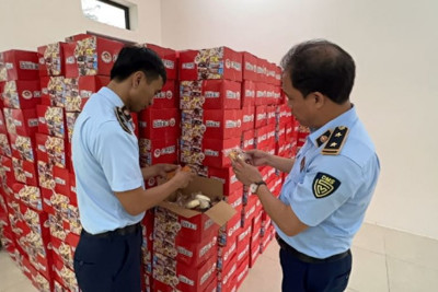 Hà Nội: Tạm giữ 1000 thùng bánh bông lan và nhiều thực phẩm nghi nhập lậu