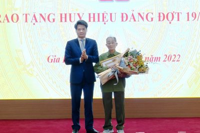 Huyện Gia Lâm: 176 đảng viên được trao Huy hiệu Đảng đợt 19/5 