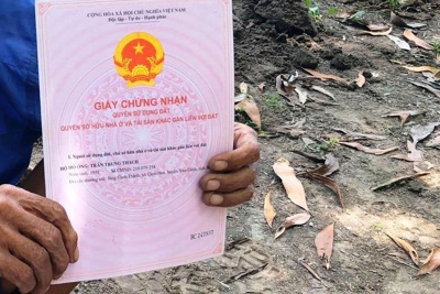 Bình Định: Đề xuất xử lý 7 cán bộ sai phạm về đất đai