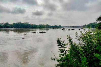 Huyện Sóc Sơn: Cảnh báo ngập úng bãi sông Cầu và Cà Lồ do mưa lớn