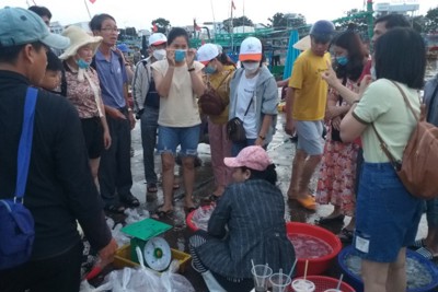 Bình Thuận: Tấp nập chợ cá Cồn Chà