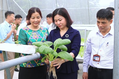 Sớm ban hành bộ tiêu chí xây dựng nông thôn mới nâng cao của Hà Nội