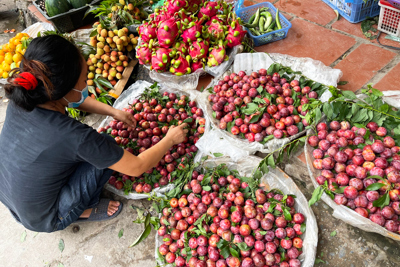 Thị trường ngày Tết Đoan Ngọ: Trái cây rẻ hơn nhiều so với mọi năm