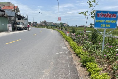Những đường hoa tô thắm miền quê xã Đại Thắng