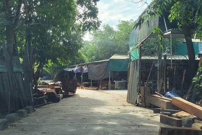 Hà Tĩnh: Ngang nhiên dựng xưởng cưa trên đê chống lũ
