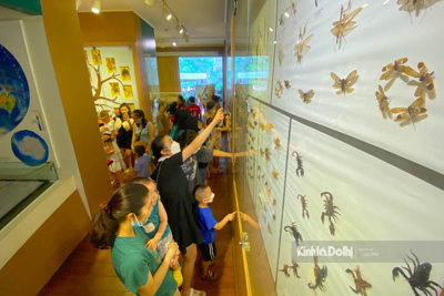 Ngày cuối tuần, Bảo tàng Thiên Nhiên đông đúc trẻ em tham quan