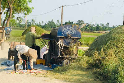 Tìm đầu ra cho rơm rạ ở nông thôn - Bài toán cần lời giải