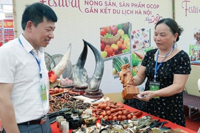 Khai mạc Festival nông sản, sản phẩm OCOP gắn kết du lịch Hà Nội 2022