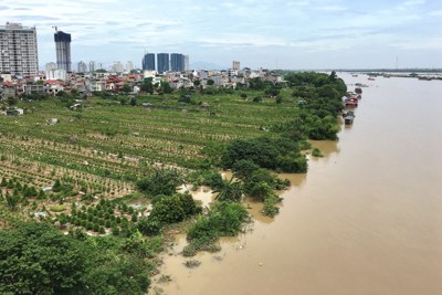 Sông Hồng vẫn mênh mông nước, Ban Chỉ đạo Quốc gia điều tiết ngừng xả lũ