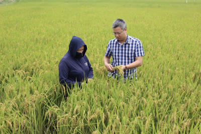 Hà Nội phát triển nông nghiệp xanh