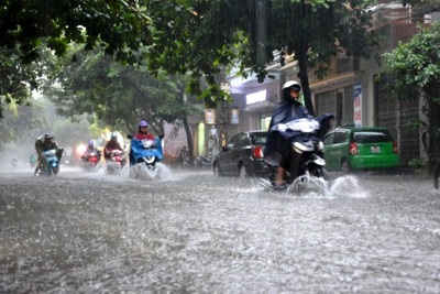 Dự báo thời tiết ngày 1/7: Hà Nội ngày mưa rào, cục bộ mưa to