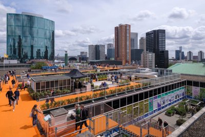 Mái nhà xanh ở Rotterdam - giải pháp cân bằng nhiệt độ đô thị