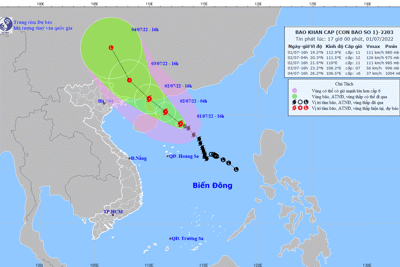 Hải Phòng sẵn sàng phương án ứng phó bão số 1