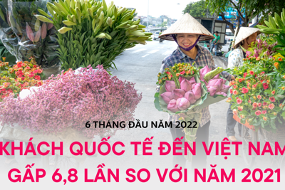 6 tháng đầu năm 2022: Khách quốc tế đến Việt Nam tăng vượt trội