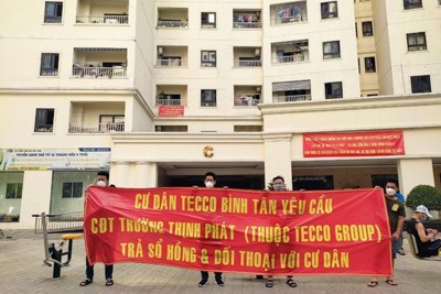 TP Hồ Chí Minh sẽ lập đoàn kiểm tra tranh chấp ở các chung cư
