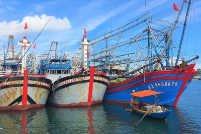 Quảng Nam: Ngư dân ngại đánh bắt xa bờ