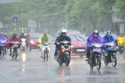 Dự báo thời tiết ngày 20/7: Hà Nội mưa rào rải rác, cục bộ mưa to